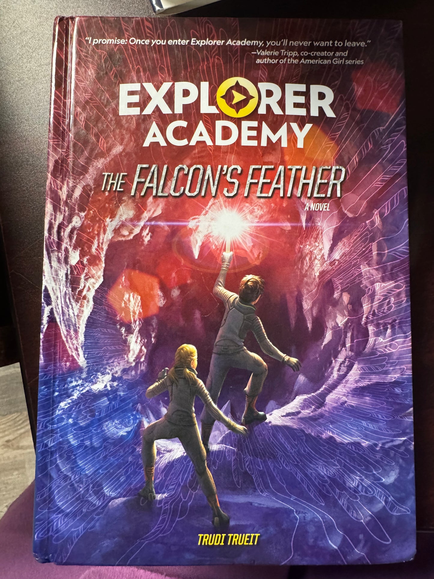 The Falcon's Feather