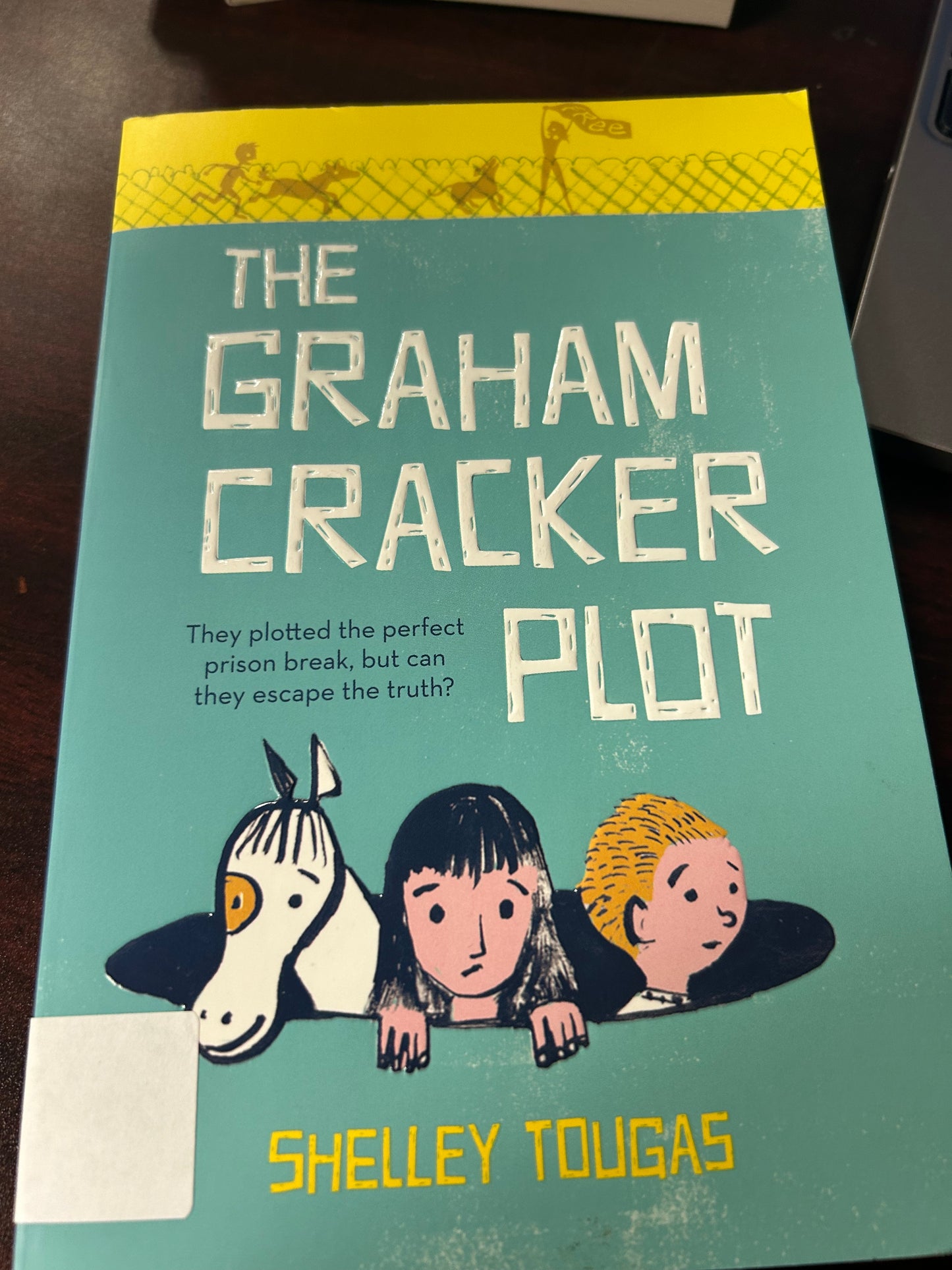 The Graham Cracker Plot