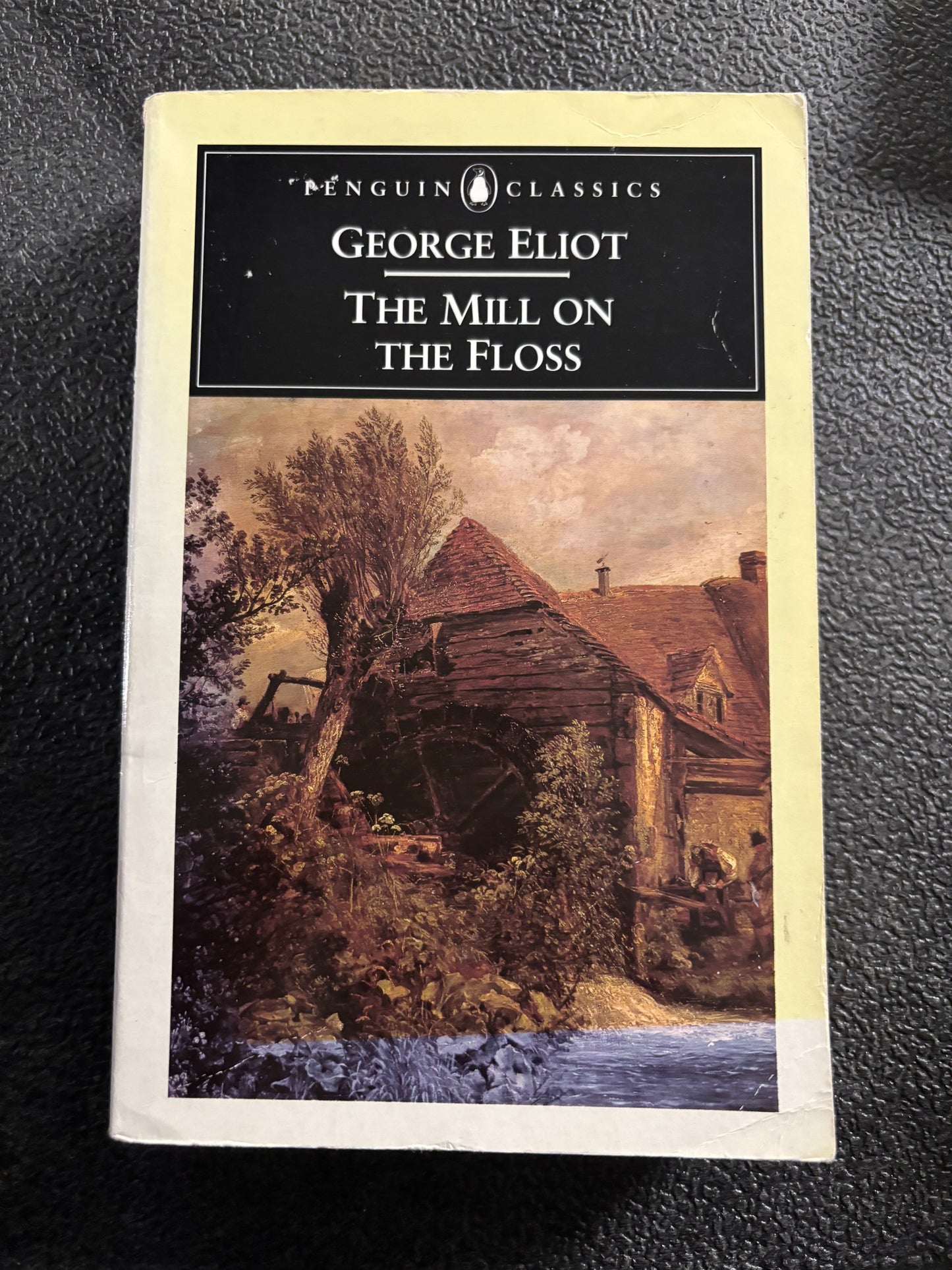 The Mill on the Floss