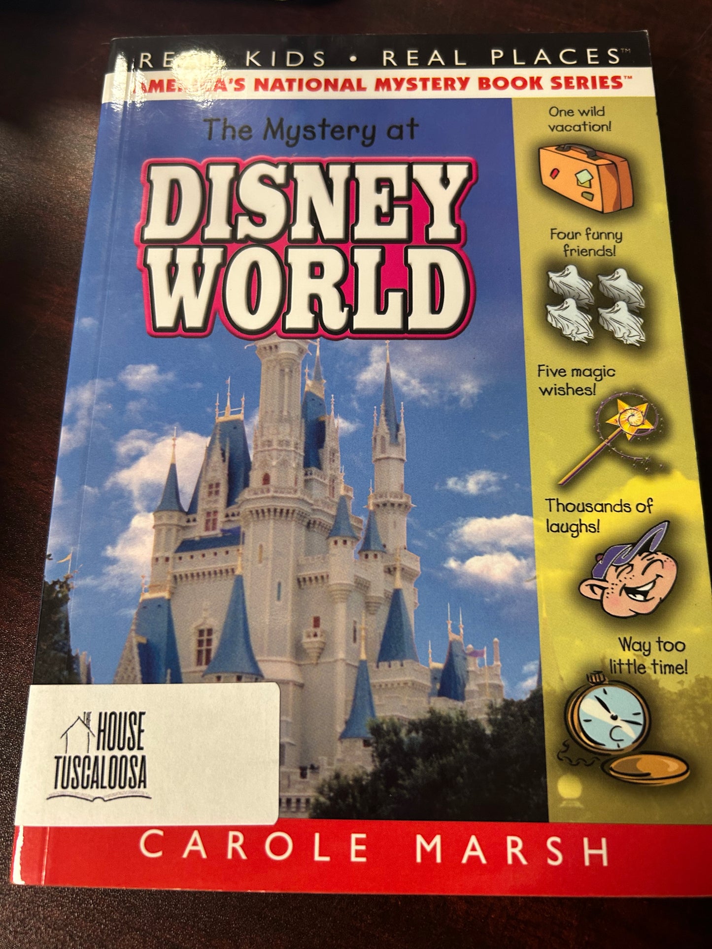 The Mystery at Disney World