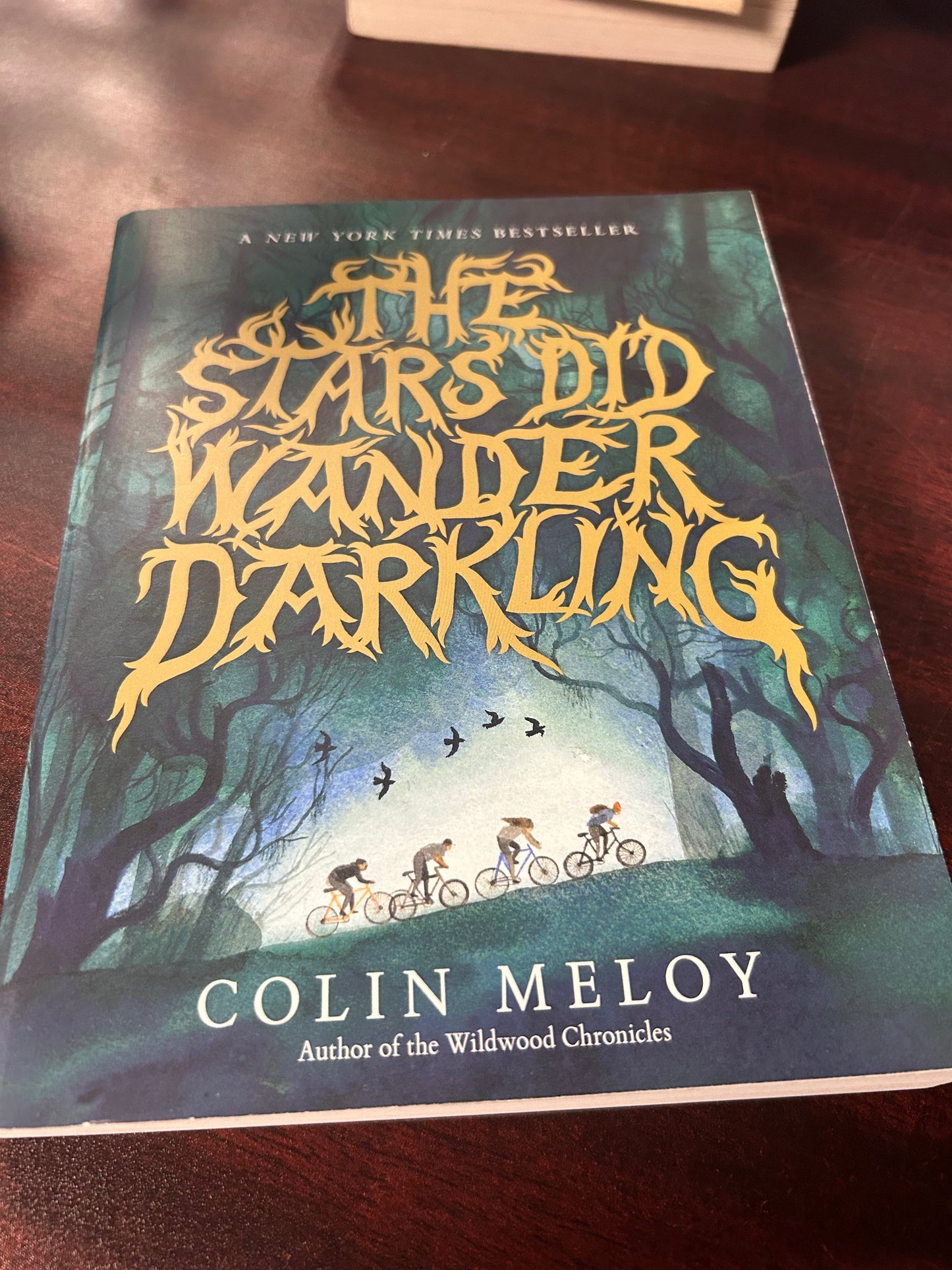 The Stars Did Wander Darkling