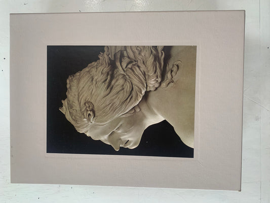 World of Bernini, The