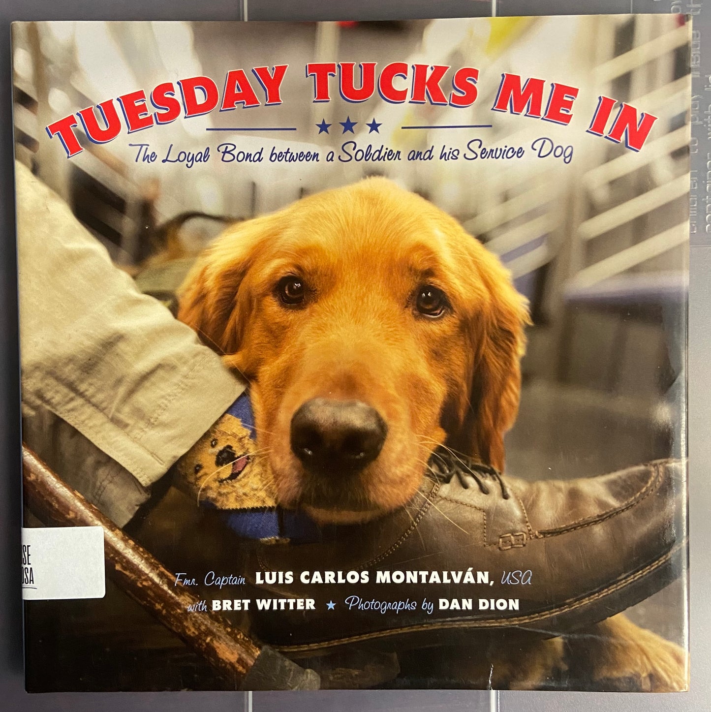 Tuesday Tucks Me In: The Loyal Bond between a Soldier and His Service Dog