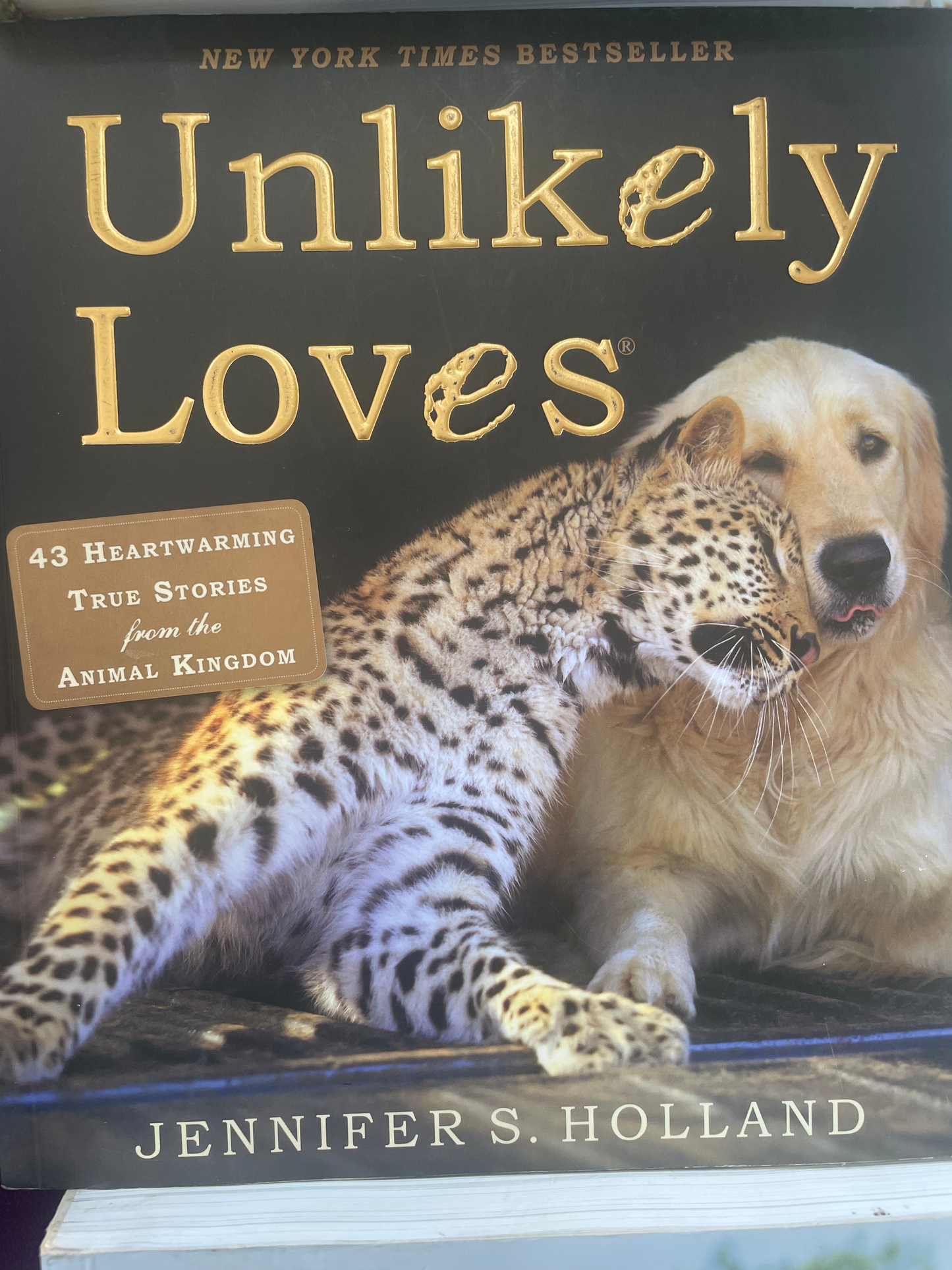 Unlikely Loves: 43 Heartwarming True Stories from the Animal Kingdom