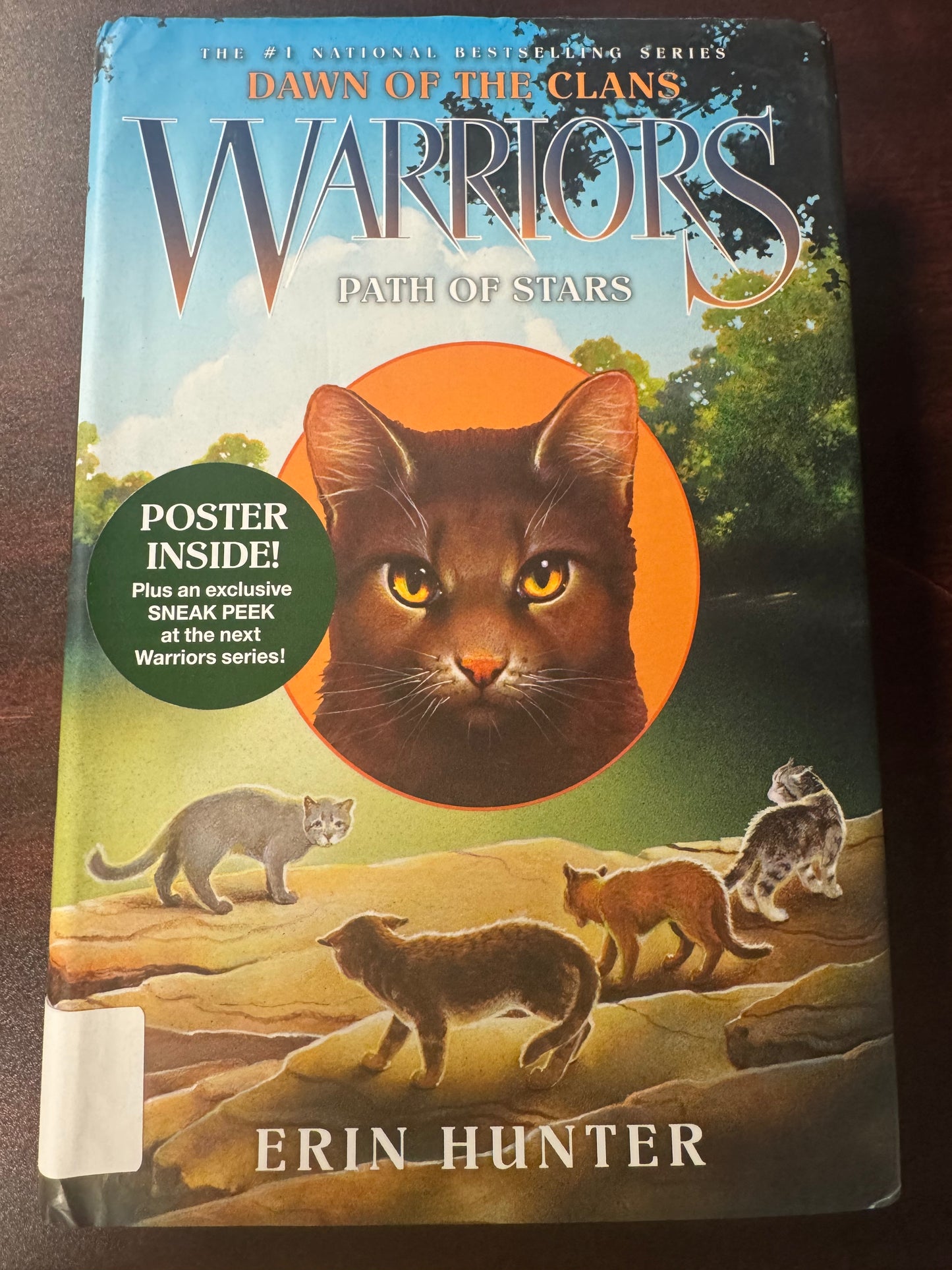 Warriors: Path of Stars