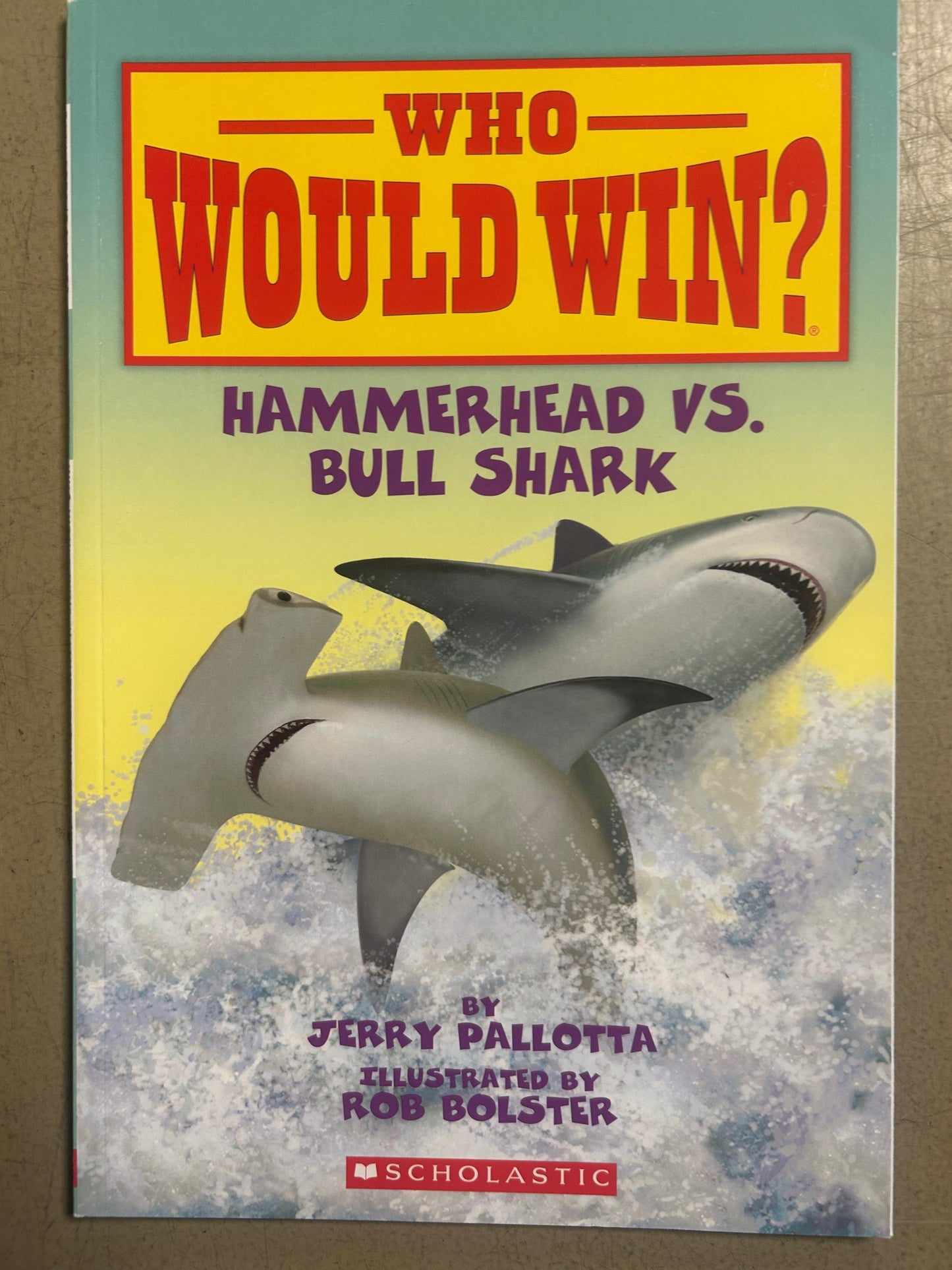 Who Would Win? Hammerhead vs. Bull Shark
