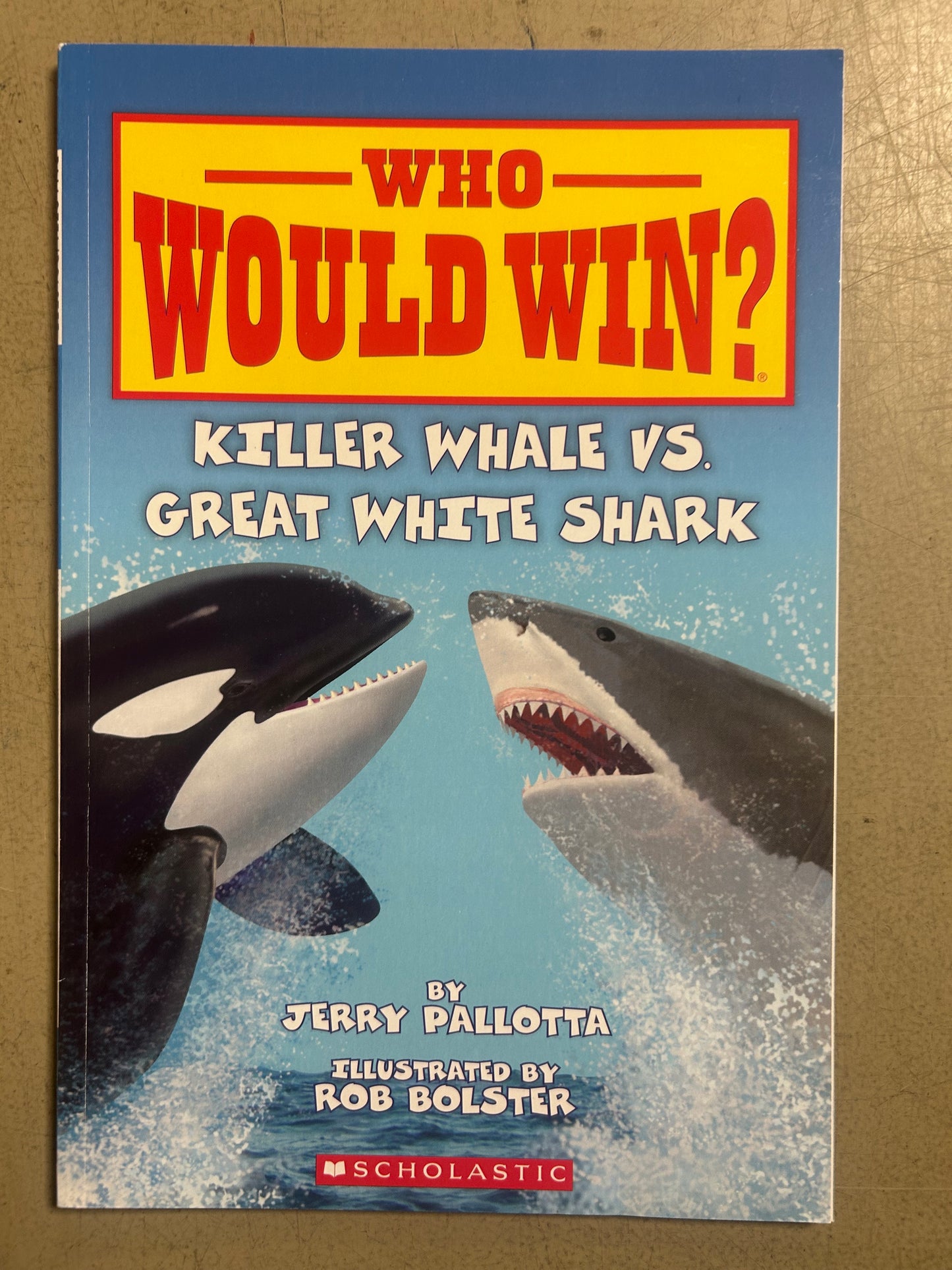 Who Would Win? Killer Whale vs. Great White Shark