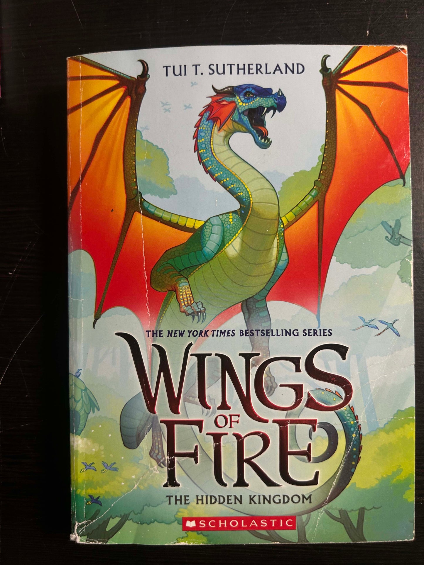 Wings of Fire The Hidden Kingdom
