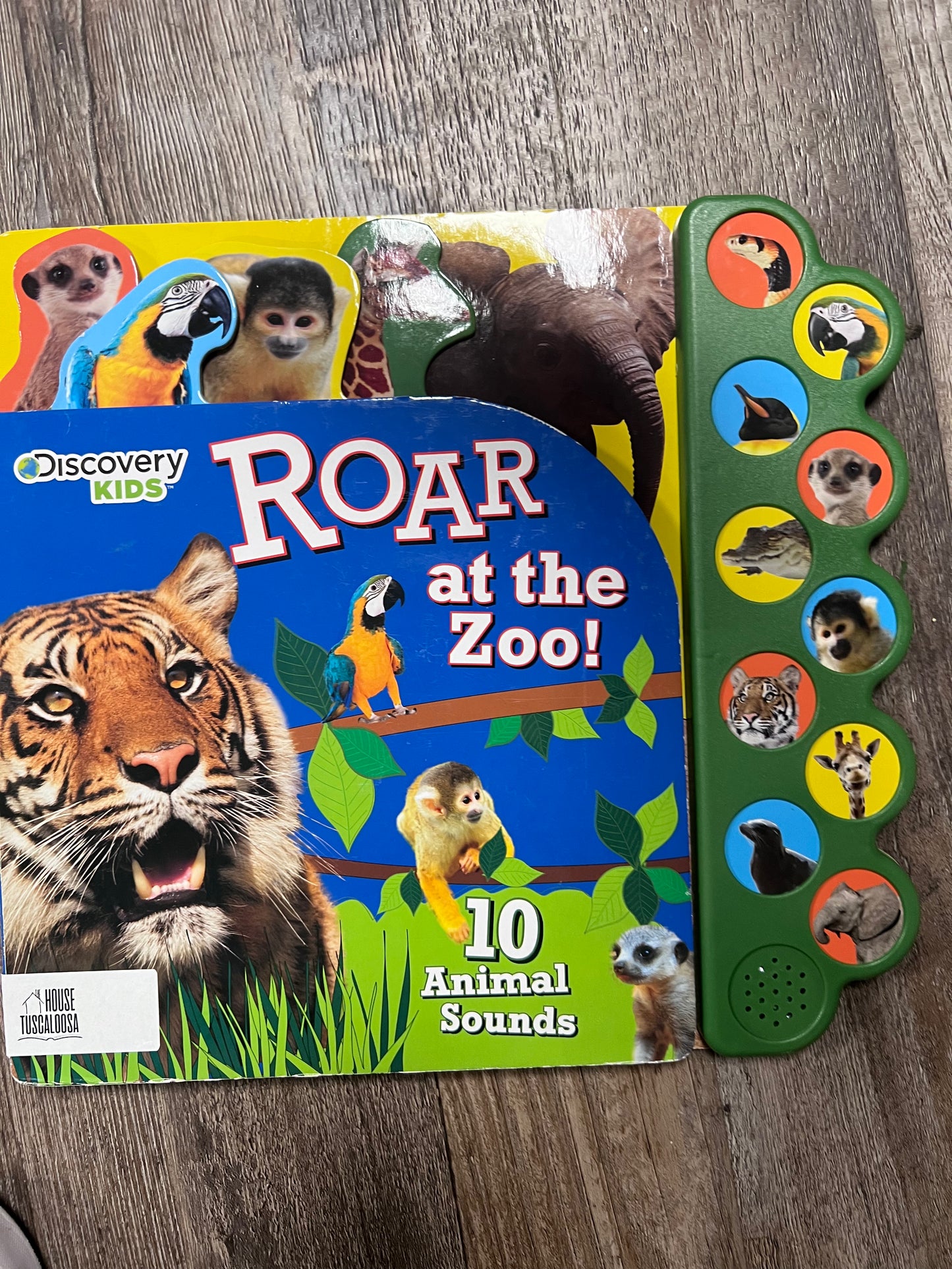 Roar at the Zoo Sound Book (Discovery Kids)