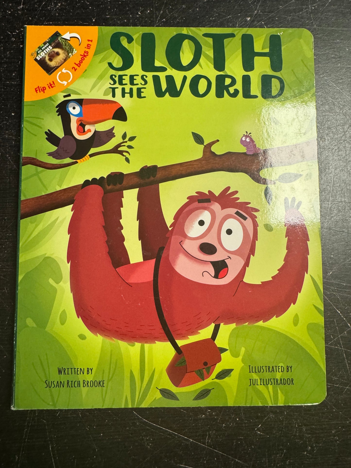 Sloth Sees the World / All About Sloths