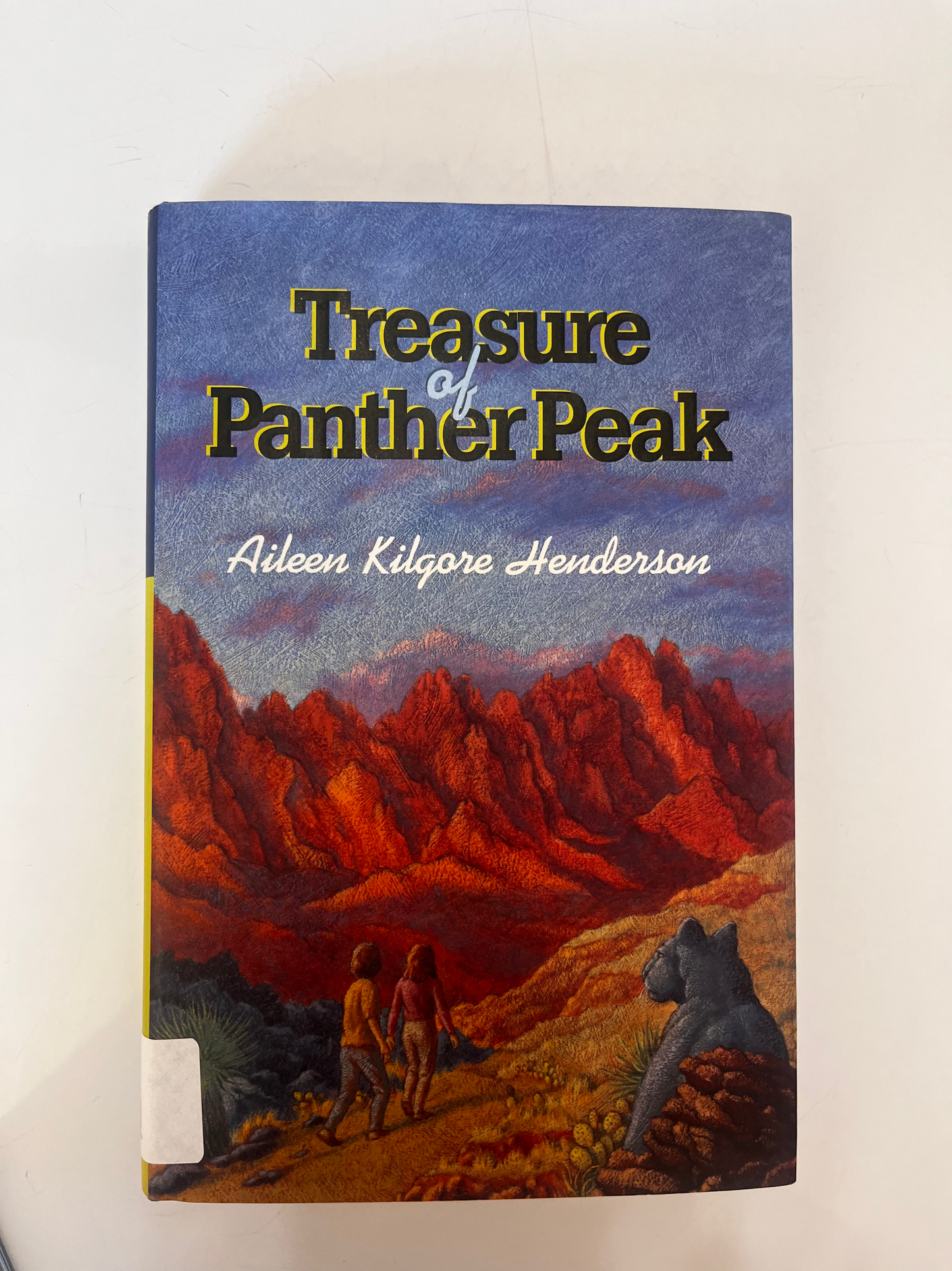 Treasure of Panther Peak, The